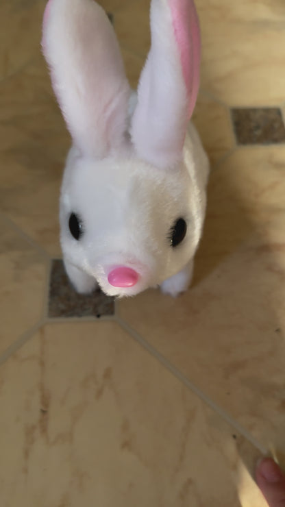 Hopping Bunny