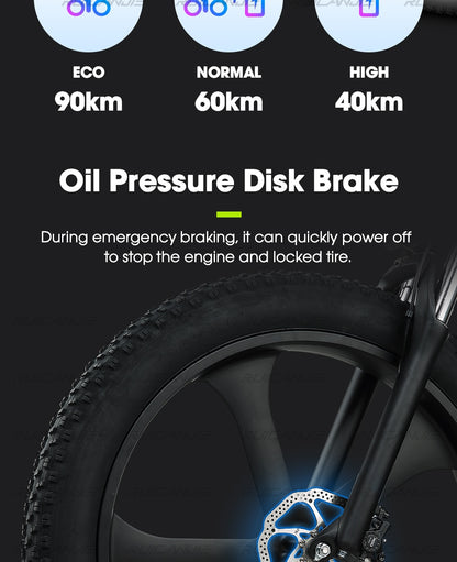 Electric Mountain Bike 48V12.8ah 1000W Max 50km/h