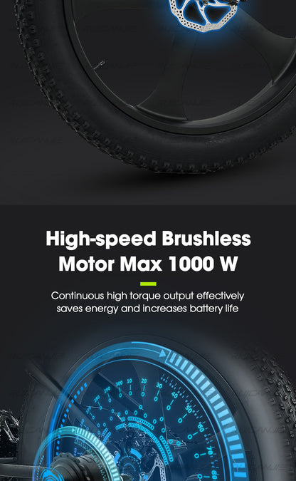 Electric Mountain Bike 48V12.8ah 1000W Max 50km/h