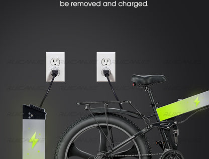 Electric Mountain Bike 48V12.8ah 1000W Max 50km/h