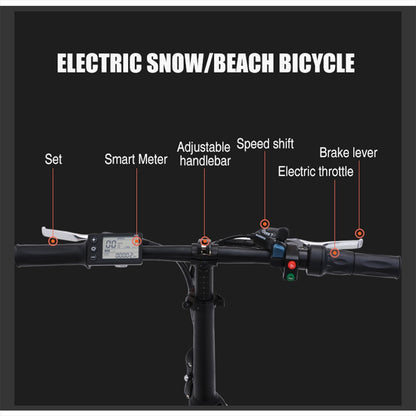 Electric bike 20 inch eBike snowbike 48V 15AH lithium battery